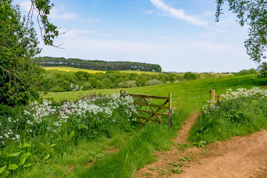 Why Clarkson’s Farm Resonates in the Homeland of Hearts