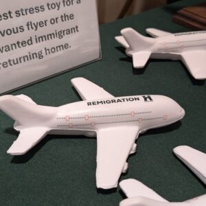 Remigration Plane Stress Toy