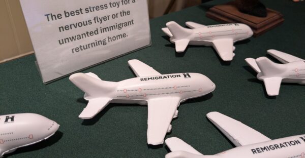 Remigration Plane Stress Toy
