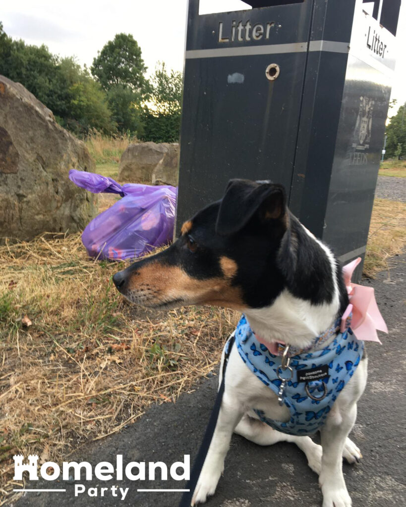 Litter Pick in Leeds